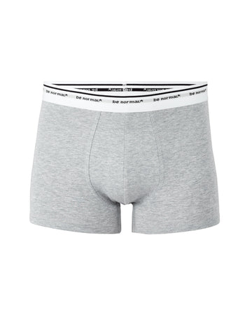 Binormal1 Heather Grey Boxers