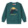 Children's Green Blouse For Boy Energiers