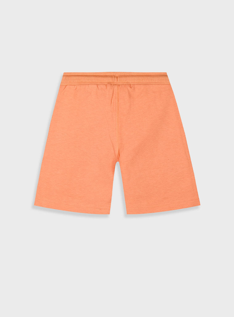 Apricot BERMUDA