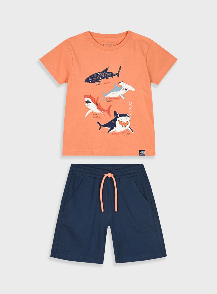 Navy SET
