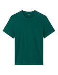 100% Cotton Regular Fit Crew Neck T-Shirt Celio