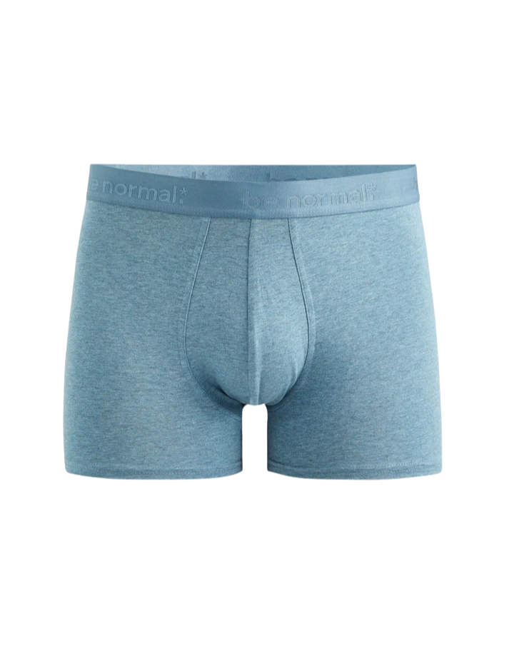 Binormal Heather Blue Boxers Celio