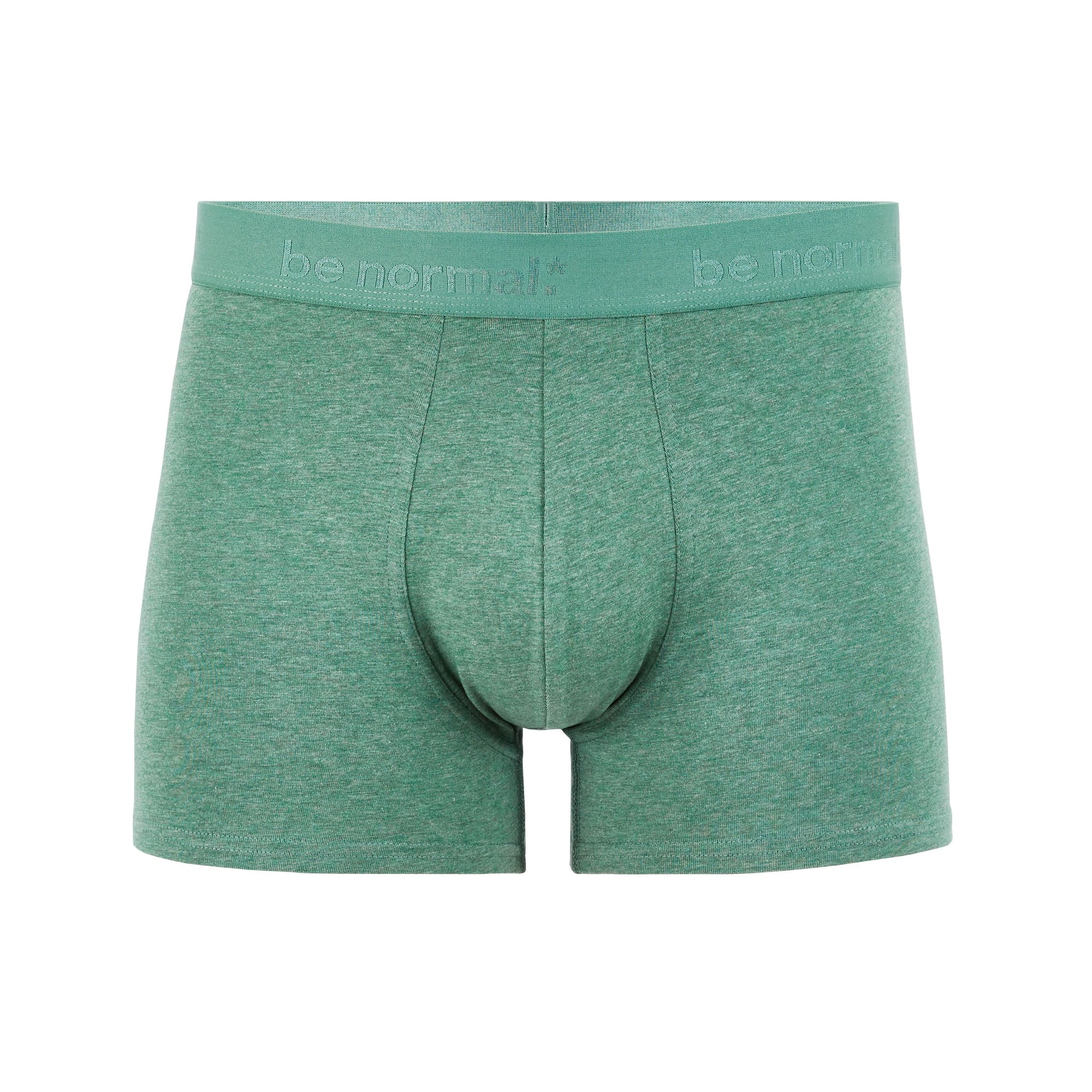 Binormal Lichen Green Boxers Celio