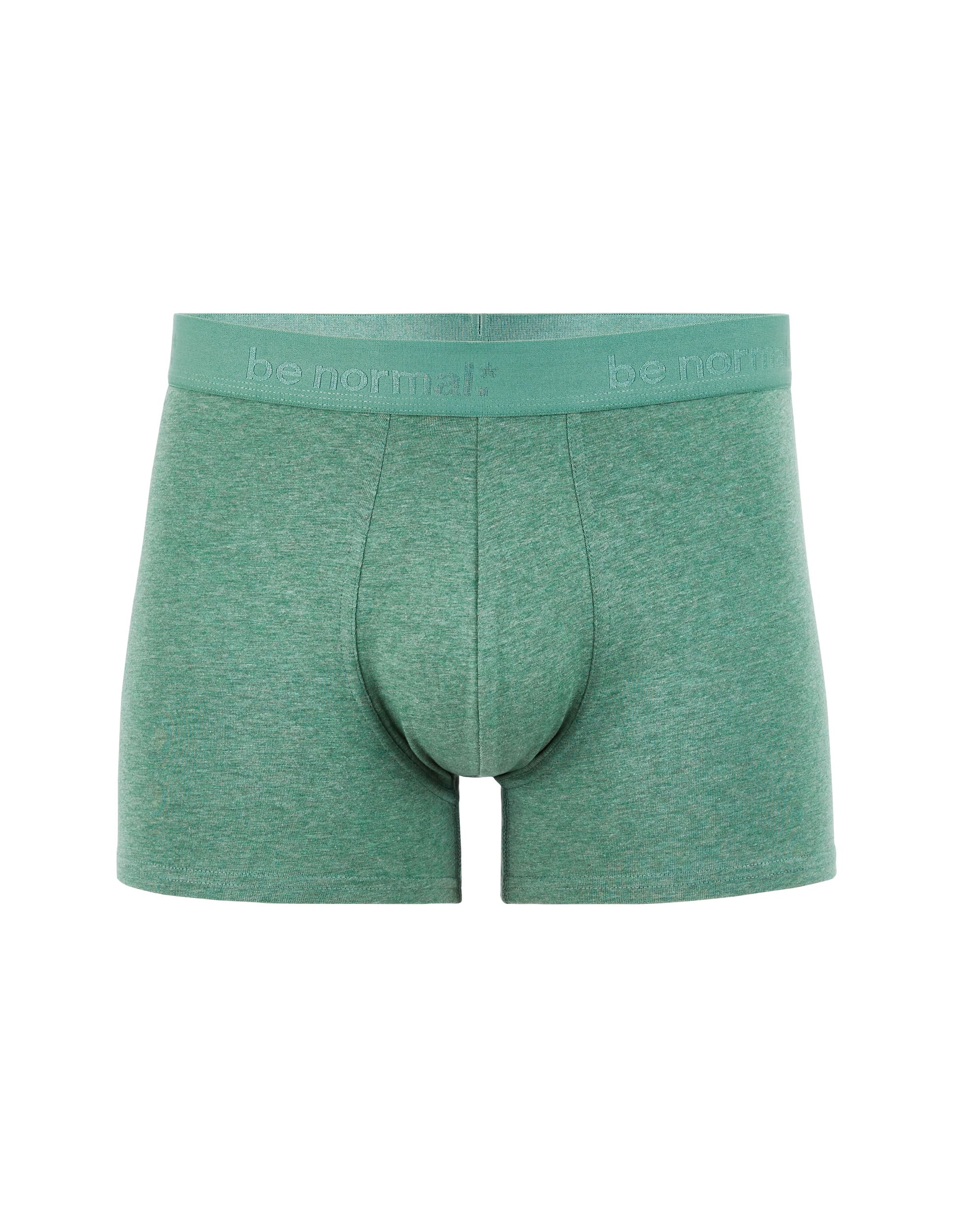 Binormal Lichen Green Boxers Celio