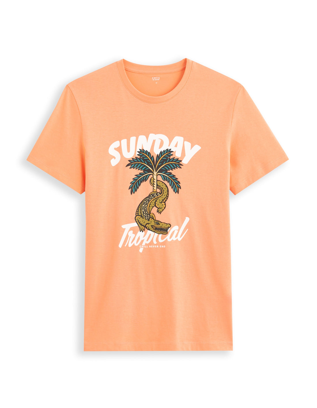 Tshirt manches courtes