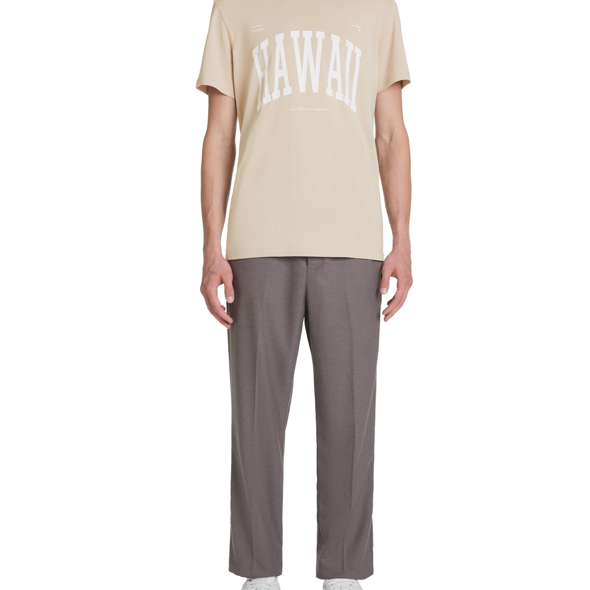 JEVILLE RAY TAUPE SS TSHIRT Celio