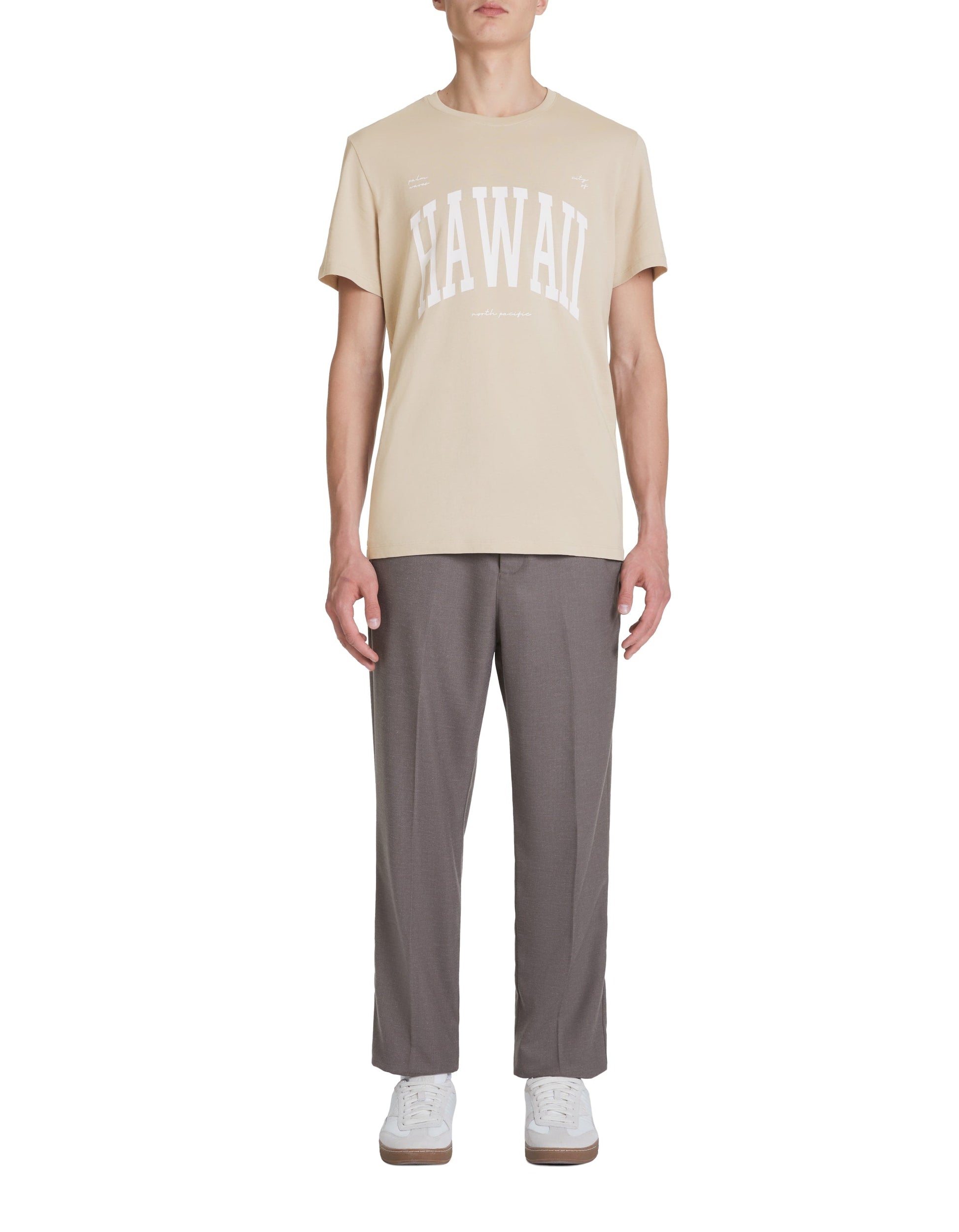 JEVILLE RAY TAUPE SS TSHIRT Celio