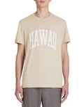 JEVILLE RAY TAUPE SS TSHIRT Celio