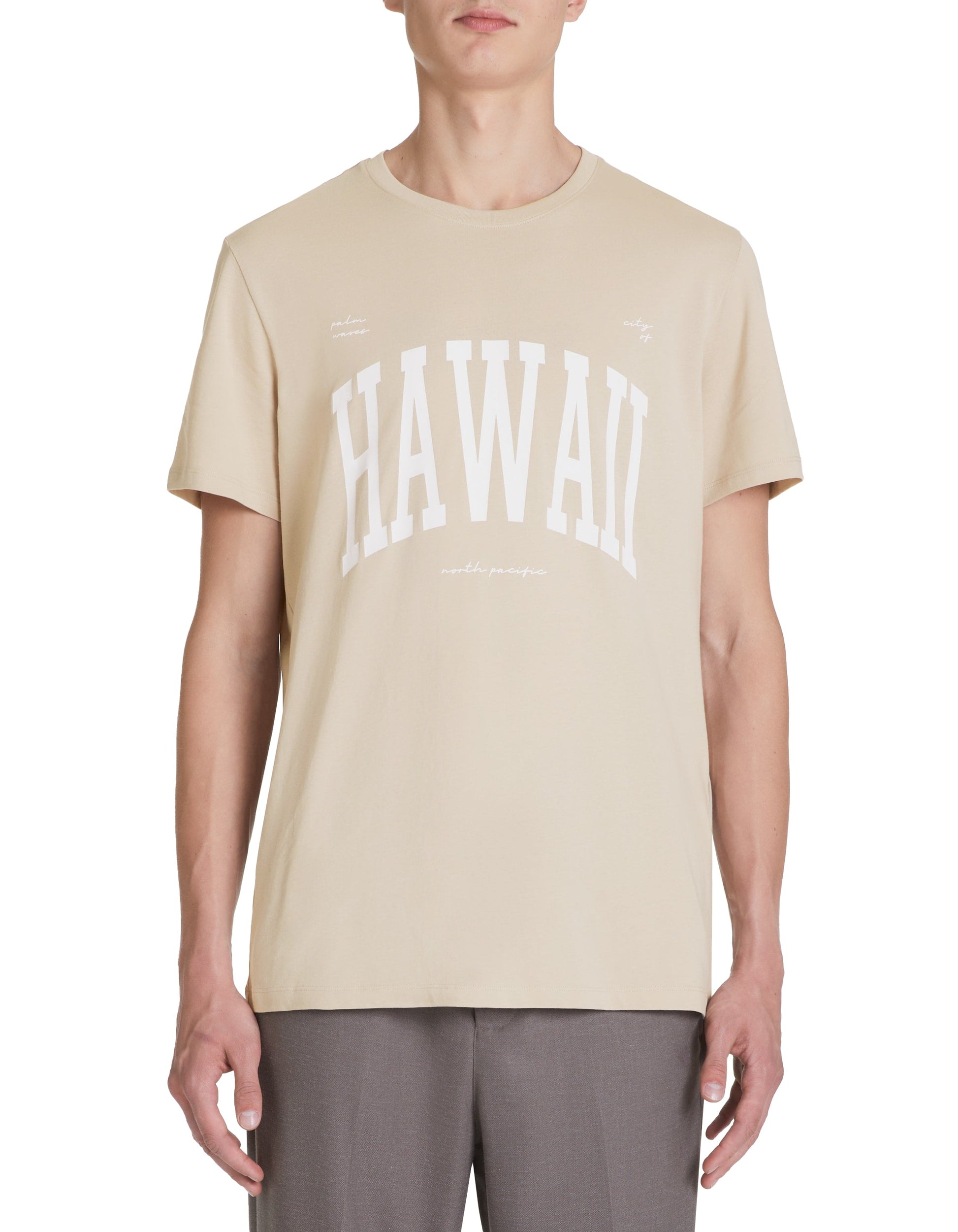 JEVILLE RAY TAUPE SS TSHIRT Celio
