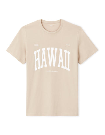 JEVILLE RAY TAUPE SS TSHIRT