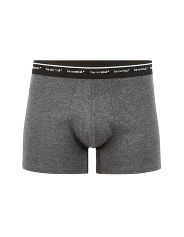 Binormal1 Anthra Mel Boxers