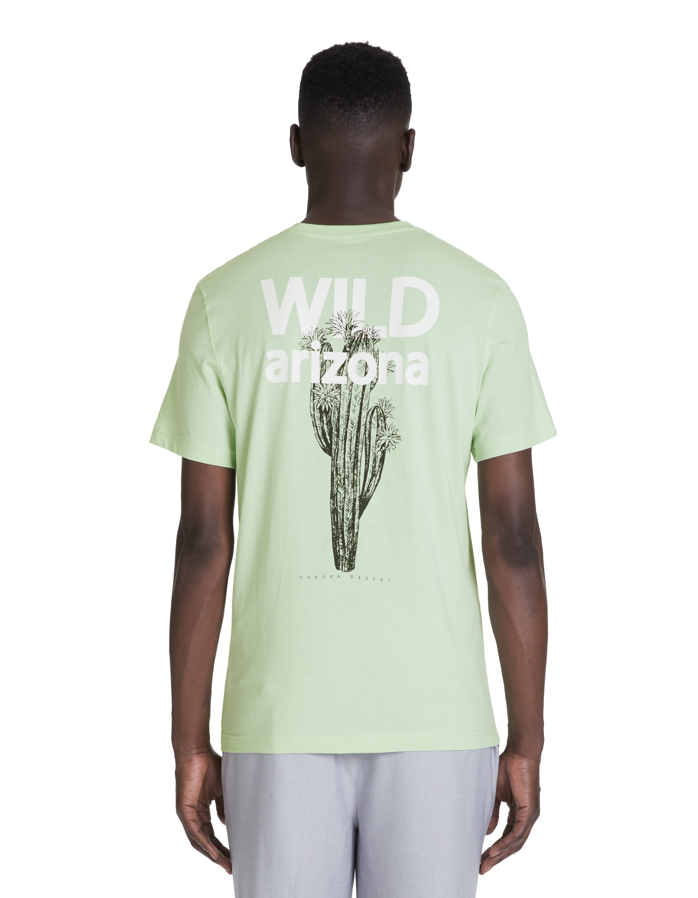 Celio T-shirts – BeytMod
