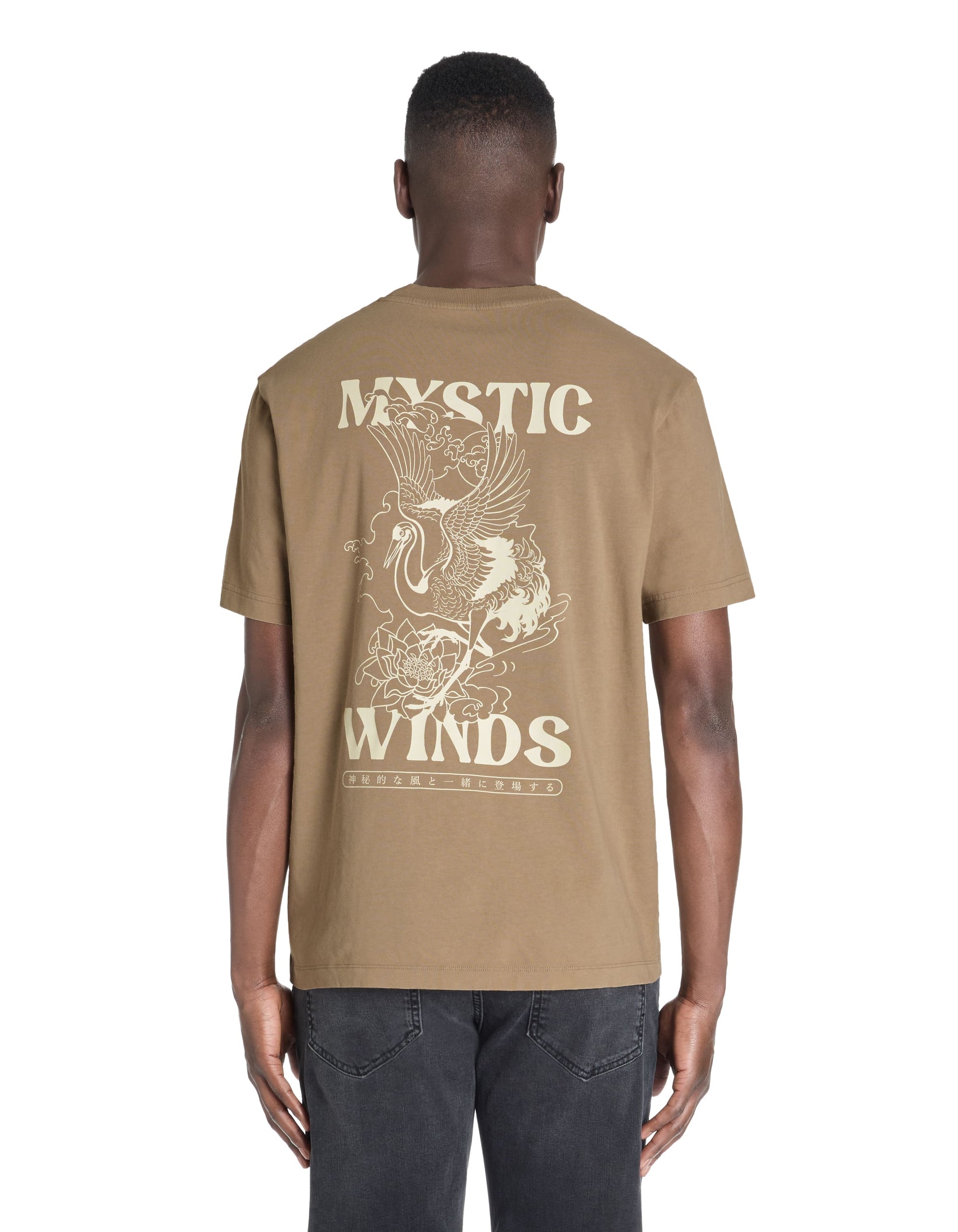 Lemystic Ray Taupe Short Sleeves Tshirt Celio
