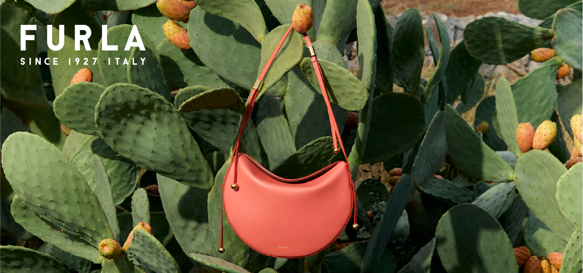 slider image slider_item_Dc7hVf