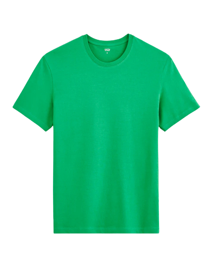 TEBASE GREEN SPRING SS TSHIRT Celio