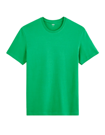 TEBASE GREEN SPRING SS TSHIRT Celio