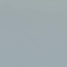 Furla Riva Crossbody Furla