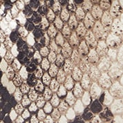 Furla Sfera Soft Crossbody Furla