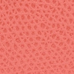 Furla Camelia M Zipped Card Case Furla