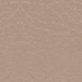 FURLA CAMELIA WALLET STUCCO GRAY
