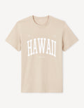 JEVILLE RAY TAUPE SS TSHIRT - Celio lebanon