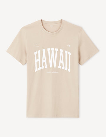 JEVILLE RAY TAUPE SS TSHIRT - Celio lebanon