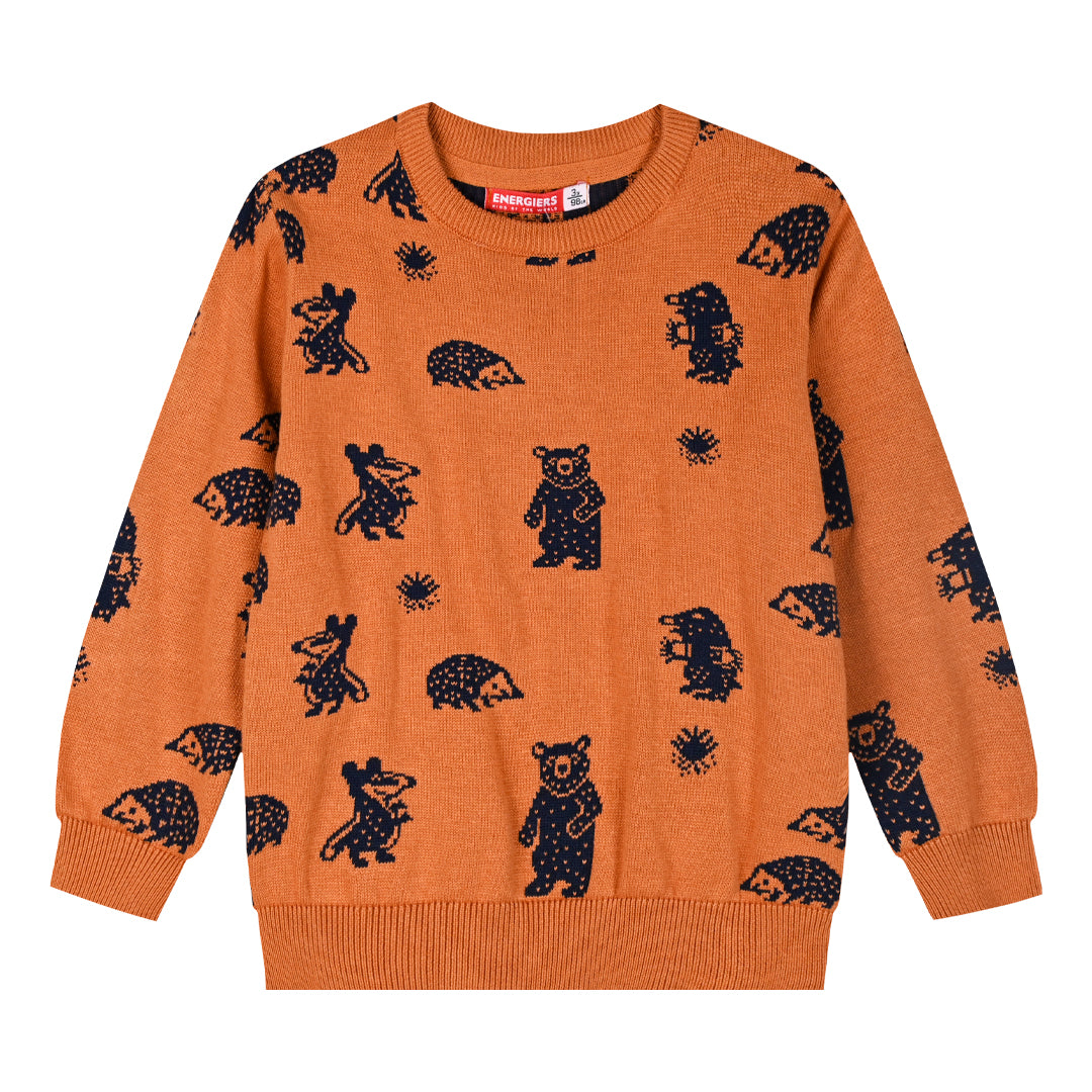 BOY'S SWEATER Energiers