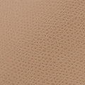 Furla Tonie Mini Hobo Bag In Leather
