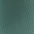 Furla Nuvola Mini Tote in Green - Bags 