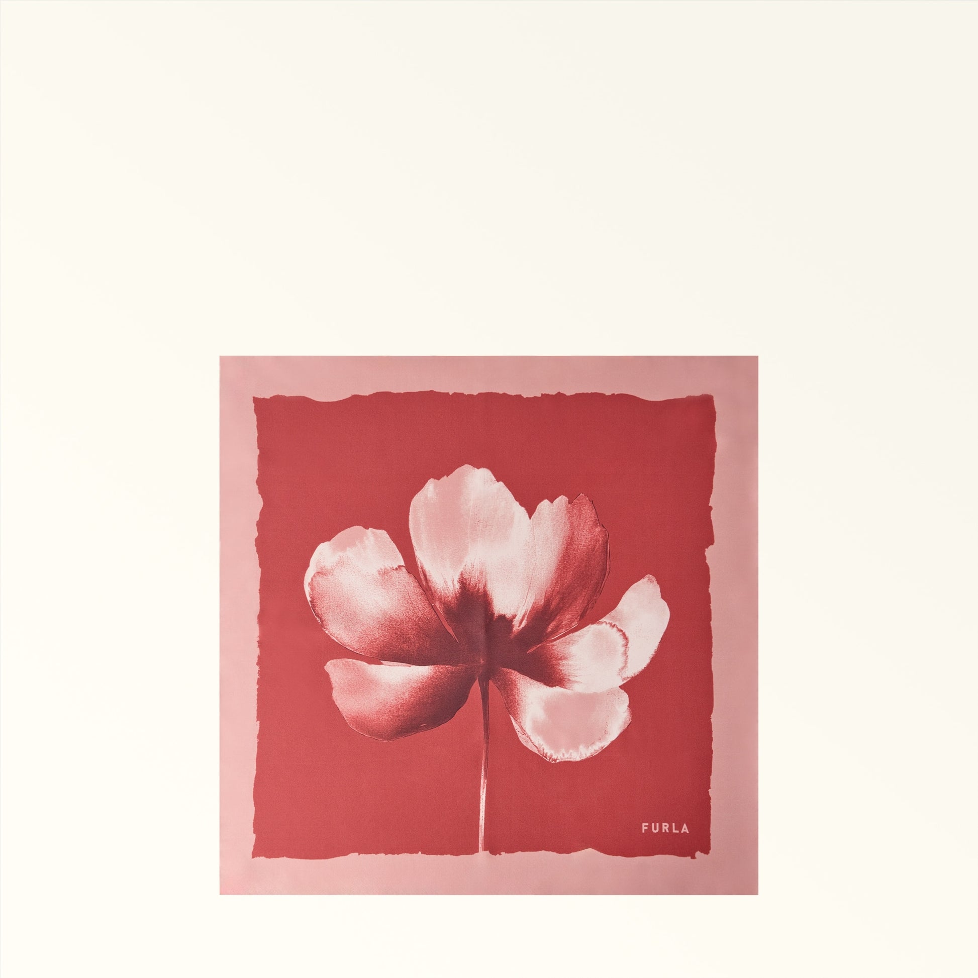 Furla Nuvola Carre' 60X60 in Pink - Scarves 