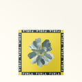 Furla Lea Bandana 60X60 in Green - Scarves 