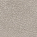 Furla Camelia Micro Crossbody Bag In Leather