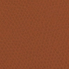 Furla Camelia M Zip Around Slim in Brown - Wallets 
