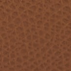 Furla Camelia Xl Zip Around in Brown - Wallets 