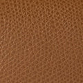 Furla 1927 Mini Crossbody Top Handle in Brown - Bags 