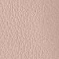 Furla Camelia Micro Vanity Case Crossbody in White - Bags 