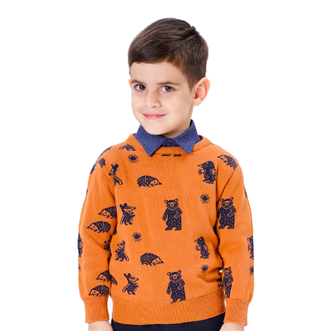 BOY'S SWEATER Energiers