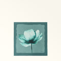 Furla Nuvola Carre' 60X60 in Green - Scarves 