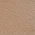 Furla Roxie M Bucket  Bag In Leather