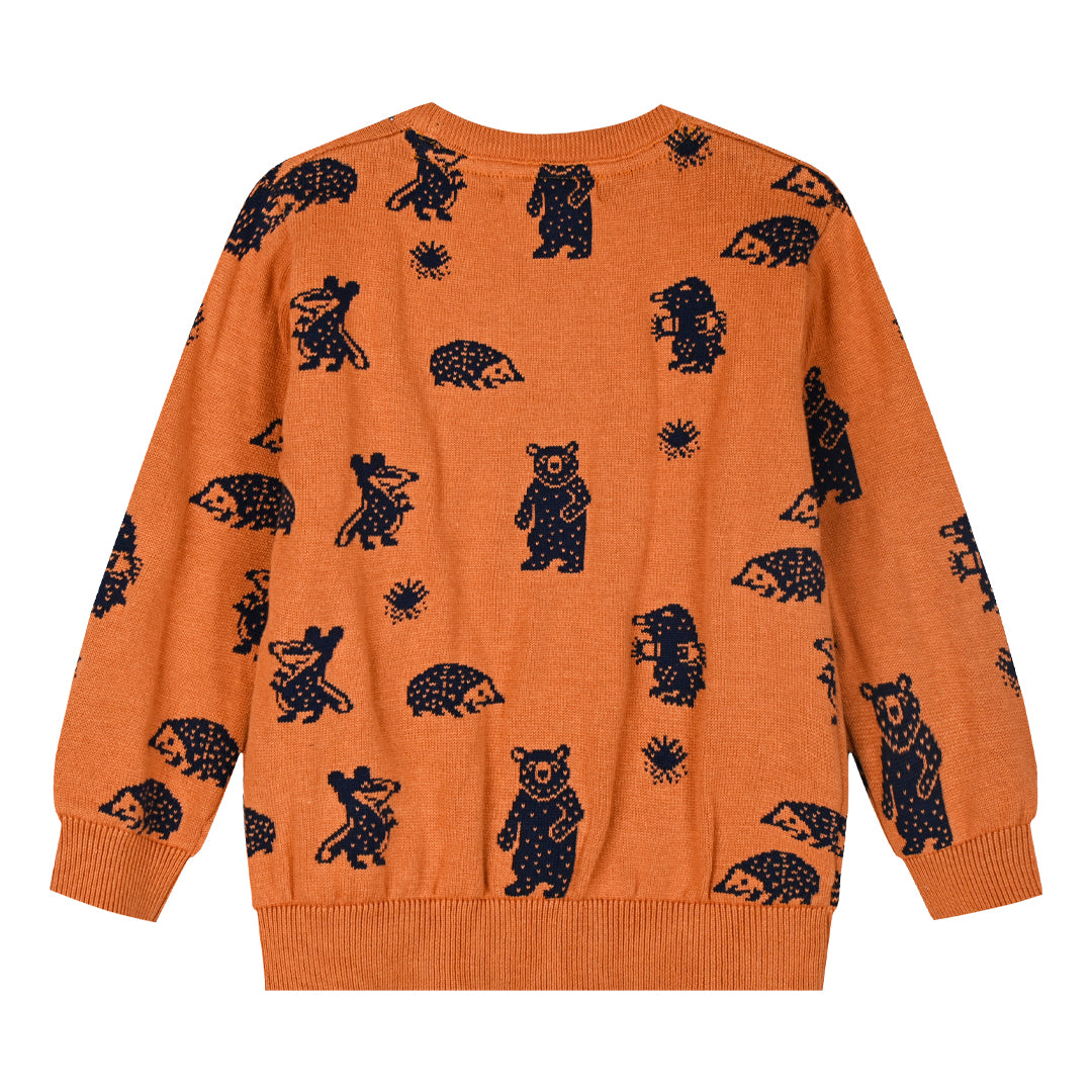 BOY'S SWEATER Energiers