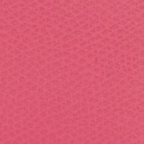Furla Camelia S Card Case Small Goods In Leather