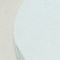 Furla Sunglasses Sfu971 in White - Sunglasses 