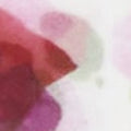 Scarf Furla Primavera Ribes G