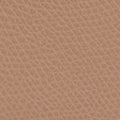 Furla 1927 Mini Crossbody Bag In Leather